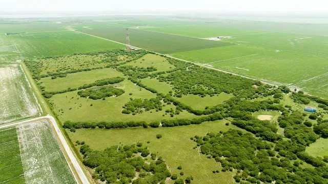 a view of a green yard