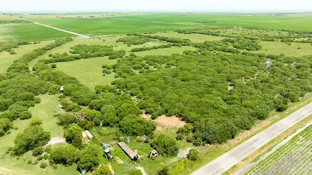 a view of a green field with lots of bushes