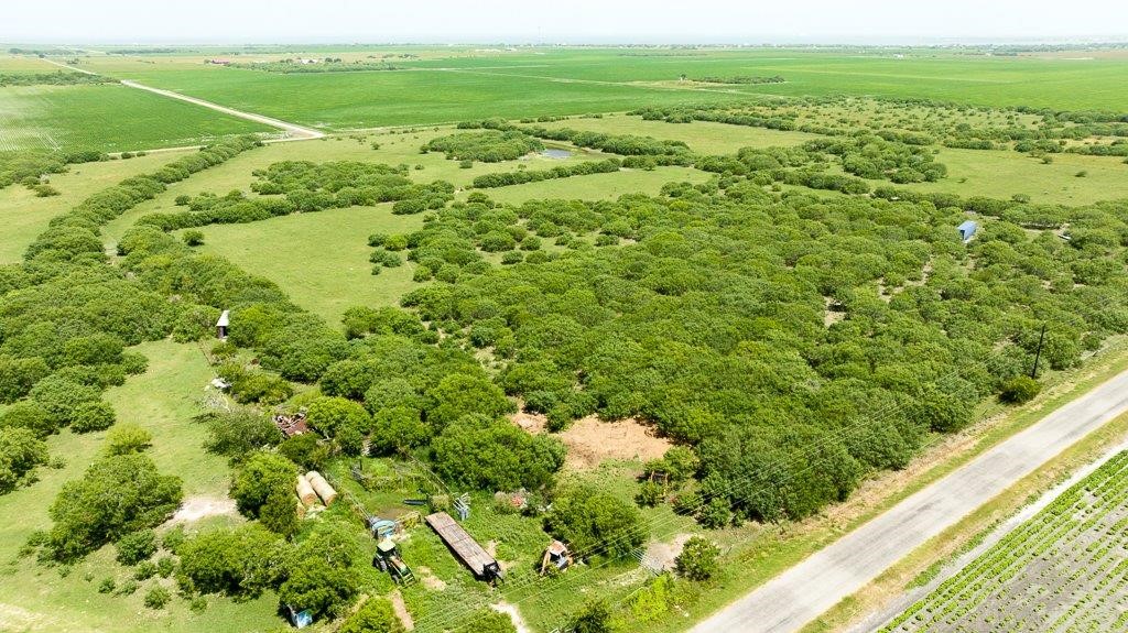 0 Gin Road Woodsboro, TX 78340 - Photo 25 of 26 a view of a green field with lots of bushes