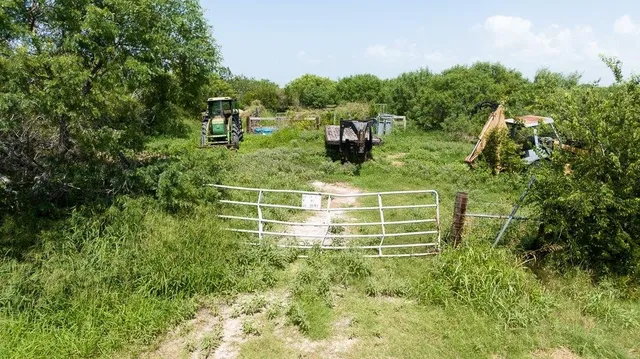 a green field with lots of trees in the background