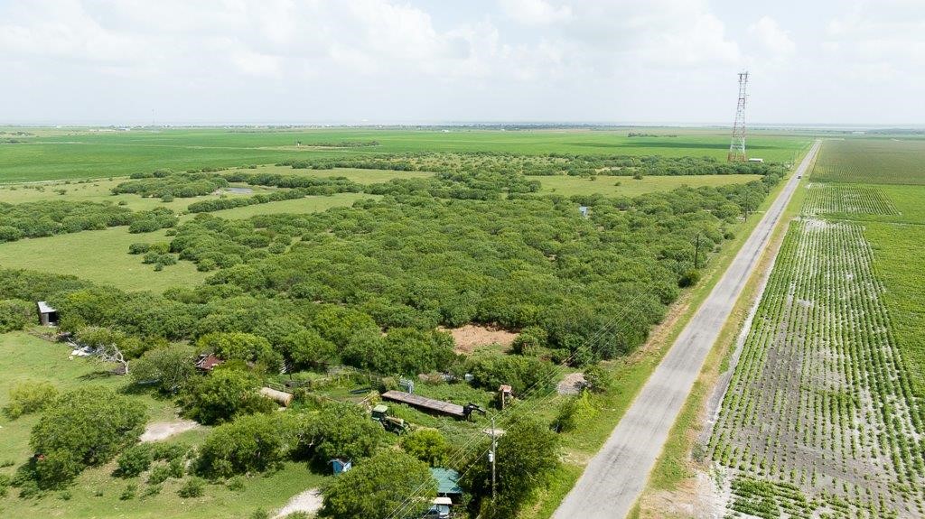 0 Gin Road Woodsboro, TX 78340 - Photo 4 of 26 a view of a garden
