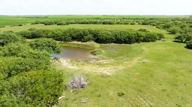 a view of a garden with an outdoor space