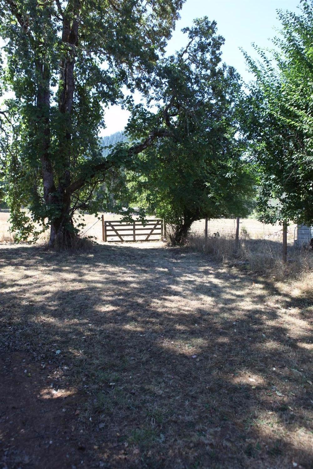 359 Old Stage Rd Road Wolf Creek, OR 97497 - Photo 30 of 35 Additional Photo