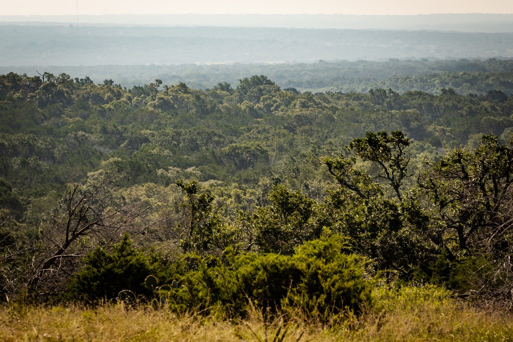 3262 Kc 442 Harper, TX 78631 - Photo 3 of 11 a view of a city with lush green forest