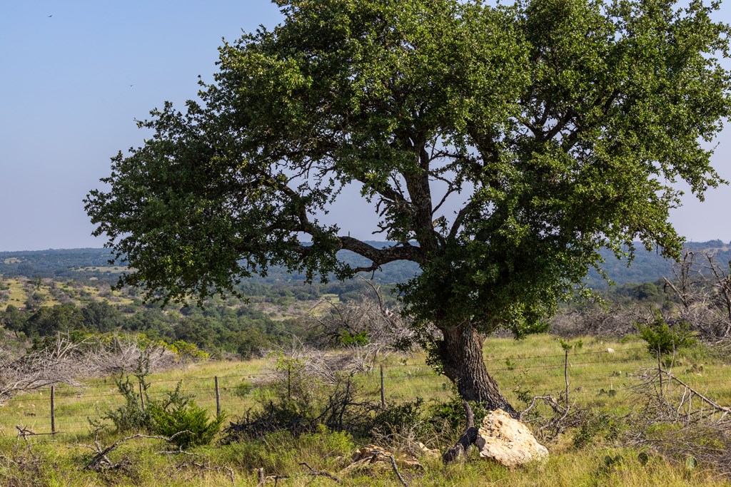 3262 Kc 442 Harper, TX 78631 - Photo 5 of 11 a view of a yard
