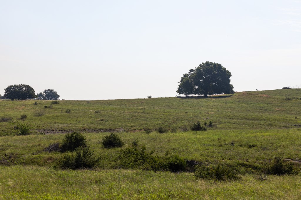3262 Kc 442 Harper, TX 78631 - Photo 6 of 11 a view of a large body of water with a large tree