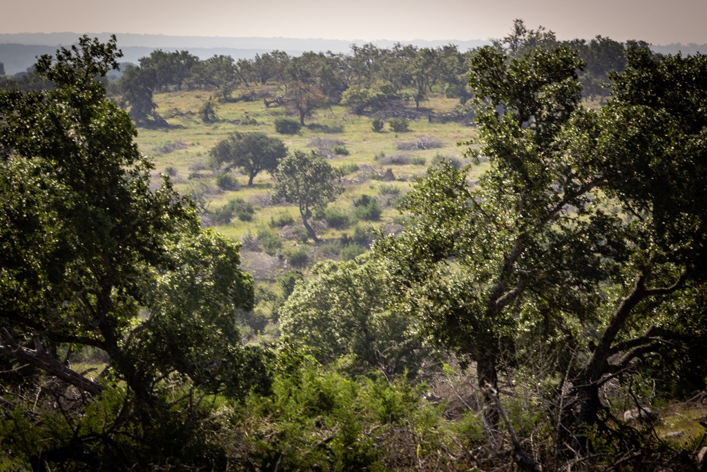 3262 Kc 442 Harper, TX 78631 - Photo 8 of 11 a view of a city