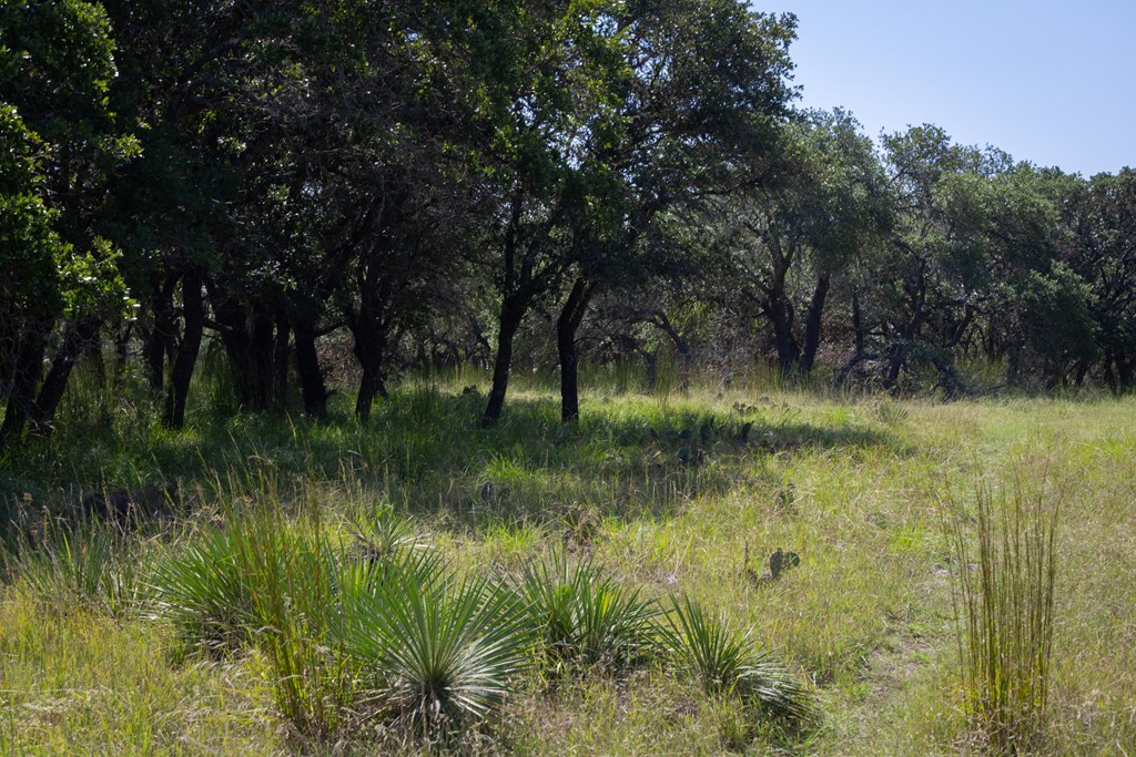 3262 Kc 442 Harper, TX 78631 - Photo 10 of 11 a view of lake background with green space