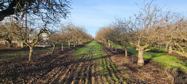 $896,500 | 0 Santa Fe Drive, Chowchilla, CA 93610