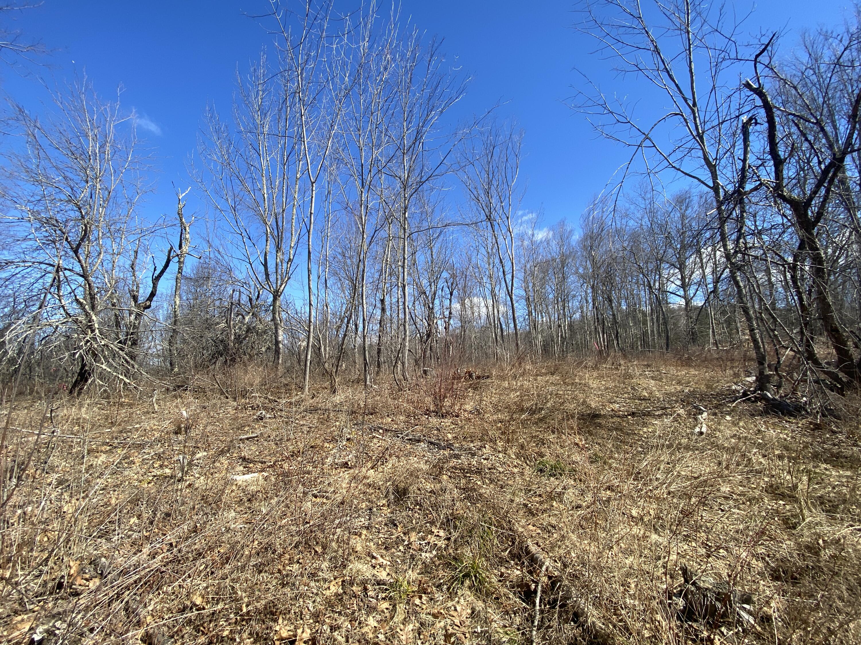 Lot C2 Chandler Road Monroe, ME 04951 - Photo 4 of 7 81E829BC-9324-4141-8B4C-0B052D329EB1