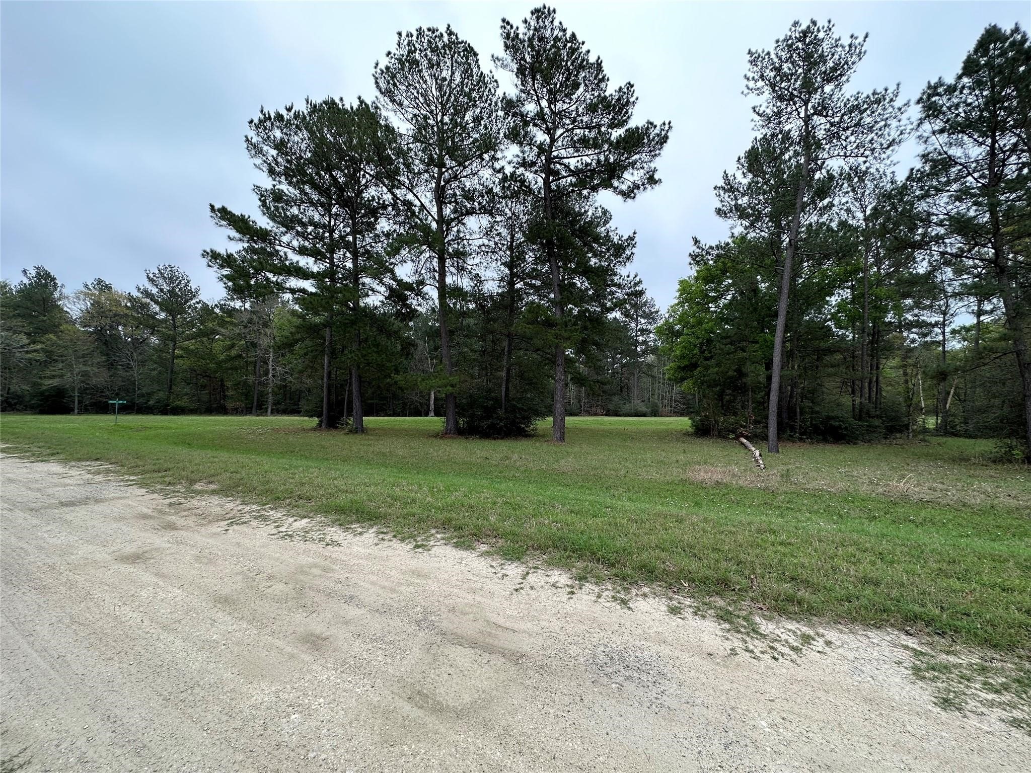 Lot 25 Colomb Street Trinity, TX 75862 - Photo 4 of 8