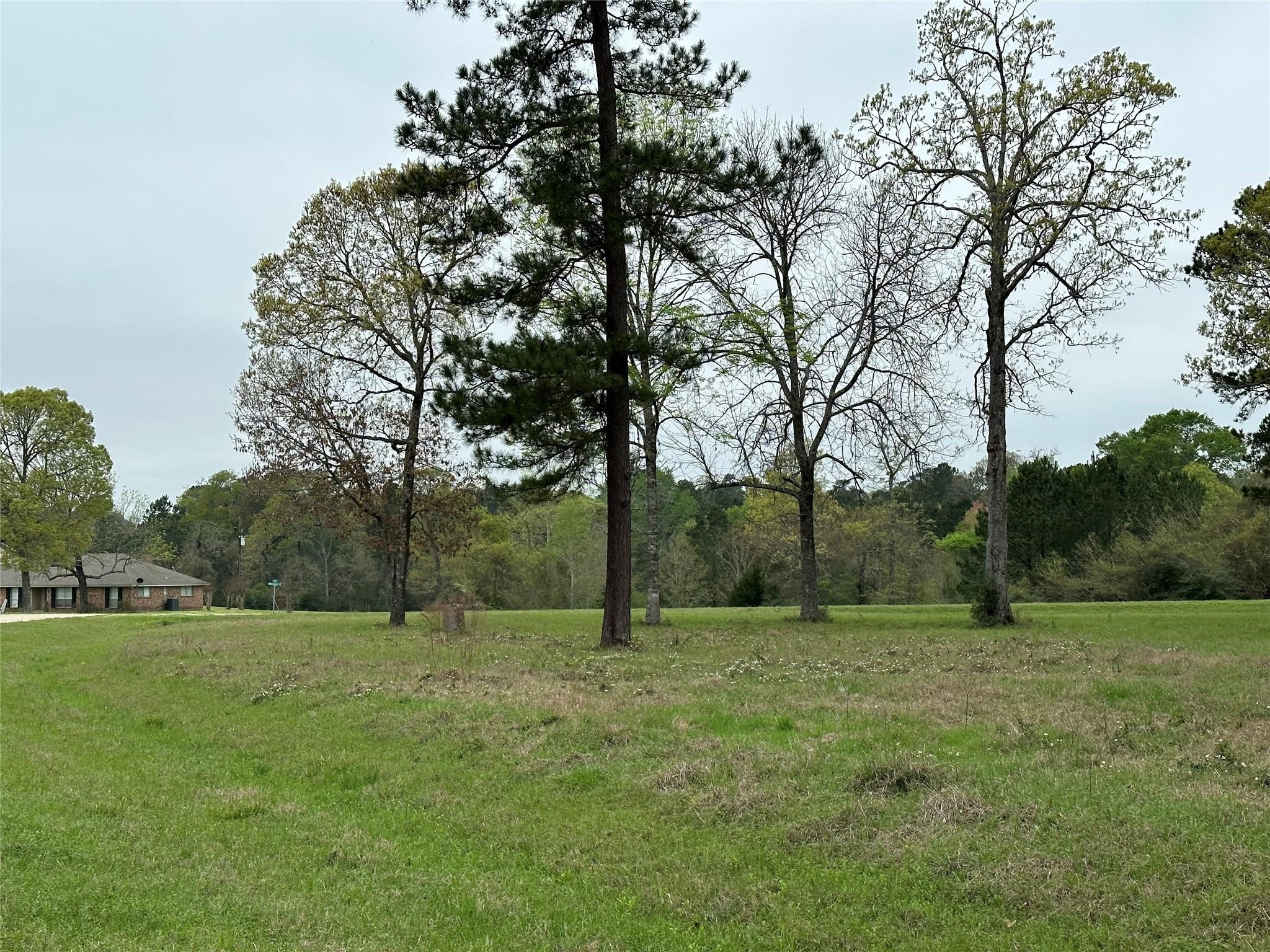 Lot 25 Colomb Street Trinity, TX 75862 - Photo 5 of 8