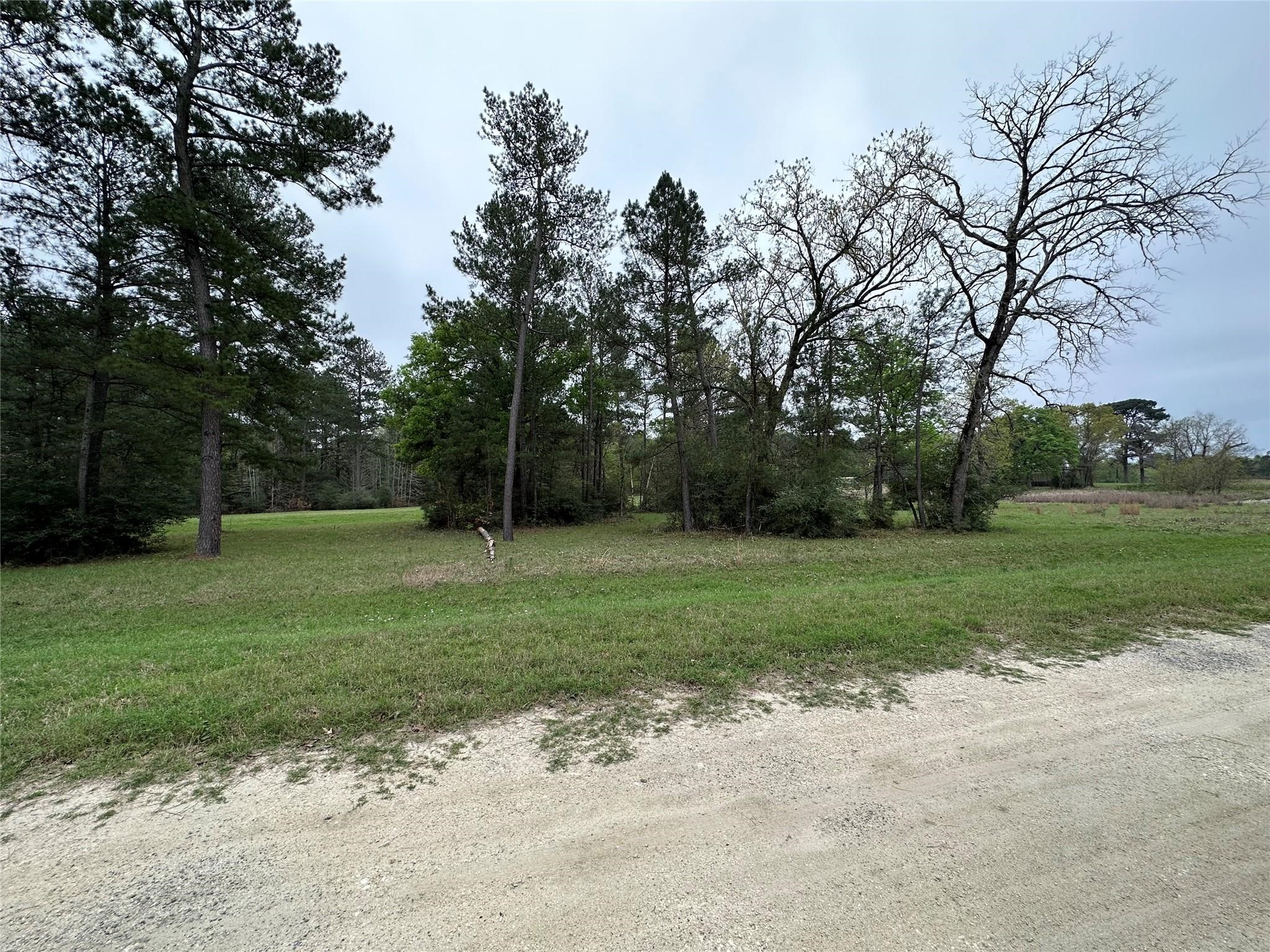 Lot 25 Colomb Street Trinity, TX 75862 - Photo 6 of 8