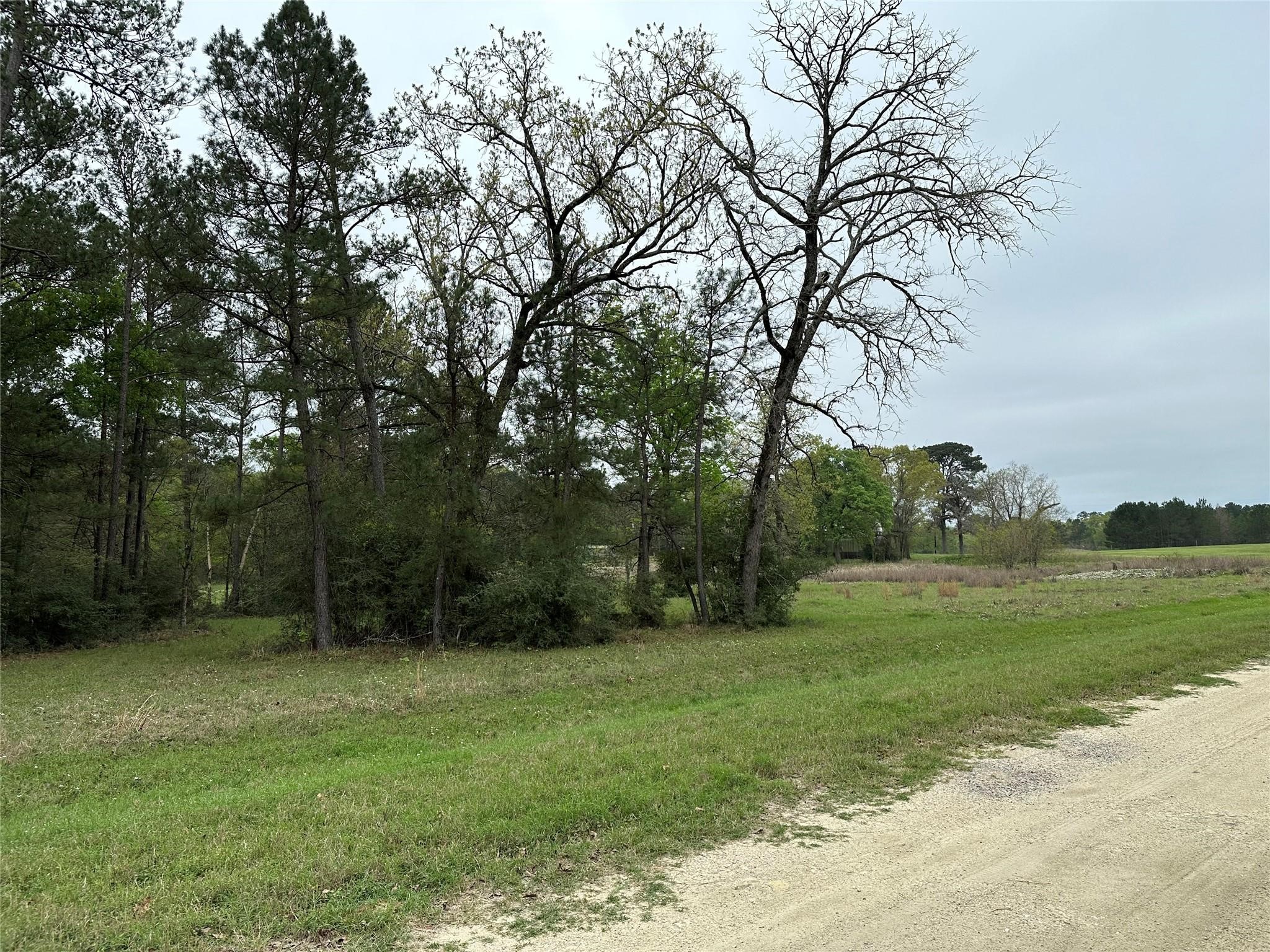 Lot 25 Colomb Street Trinity, TX 75862 - Photo 7 of 8