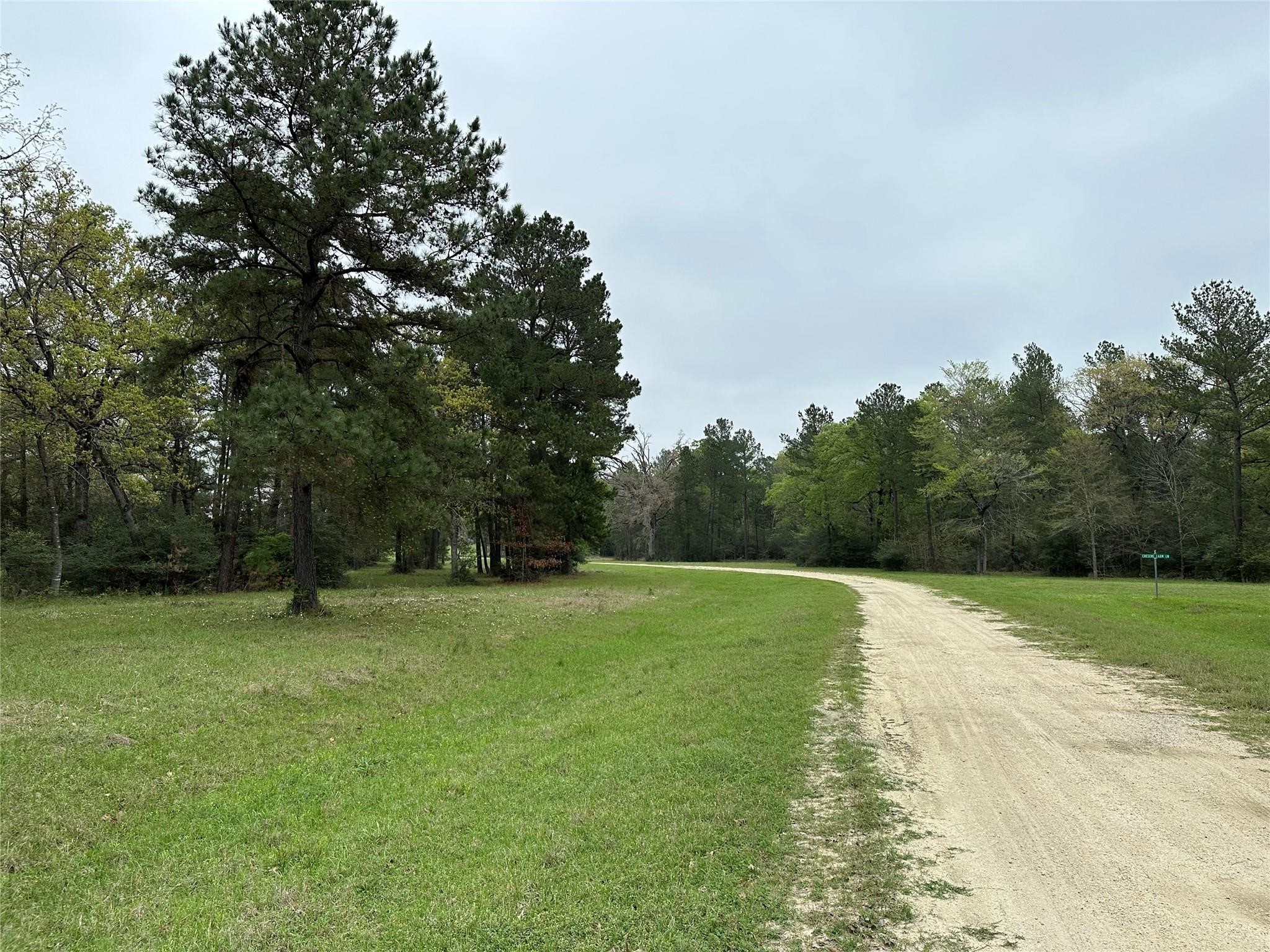 Lot 25 Colomb Street Trinity, TX 75862 - Photo 8 of 8