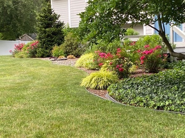 3 Johnson Road Chelmsford, MA 01824 - Photo 39 of 42 a view of a flower in a yard