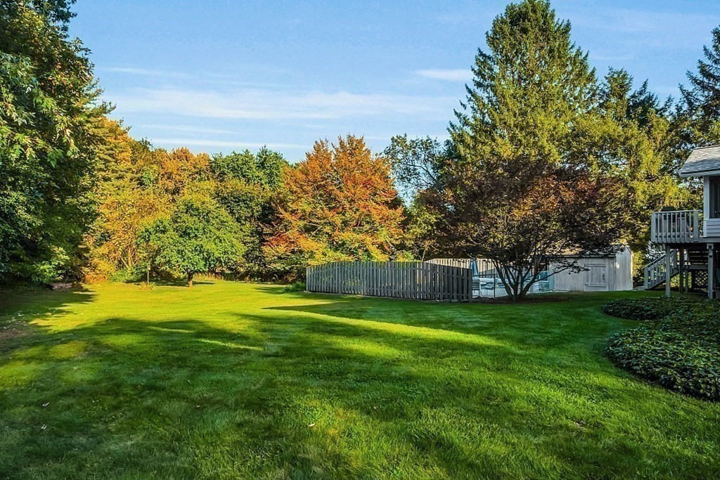 3 Johnson Road Chelmsford, MA 01824 - Photo 4 of 42 a view of a big yard with large trees