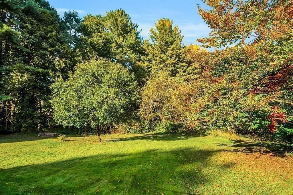 3 Johnson Road Chelmsford, MA 01824 - Photo 5 of 42 a view of yard with green space