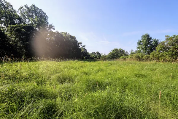 $525,000 | 24 24 Mile Road, Marshall, MI 49068