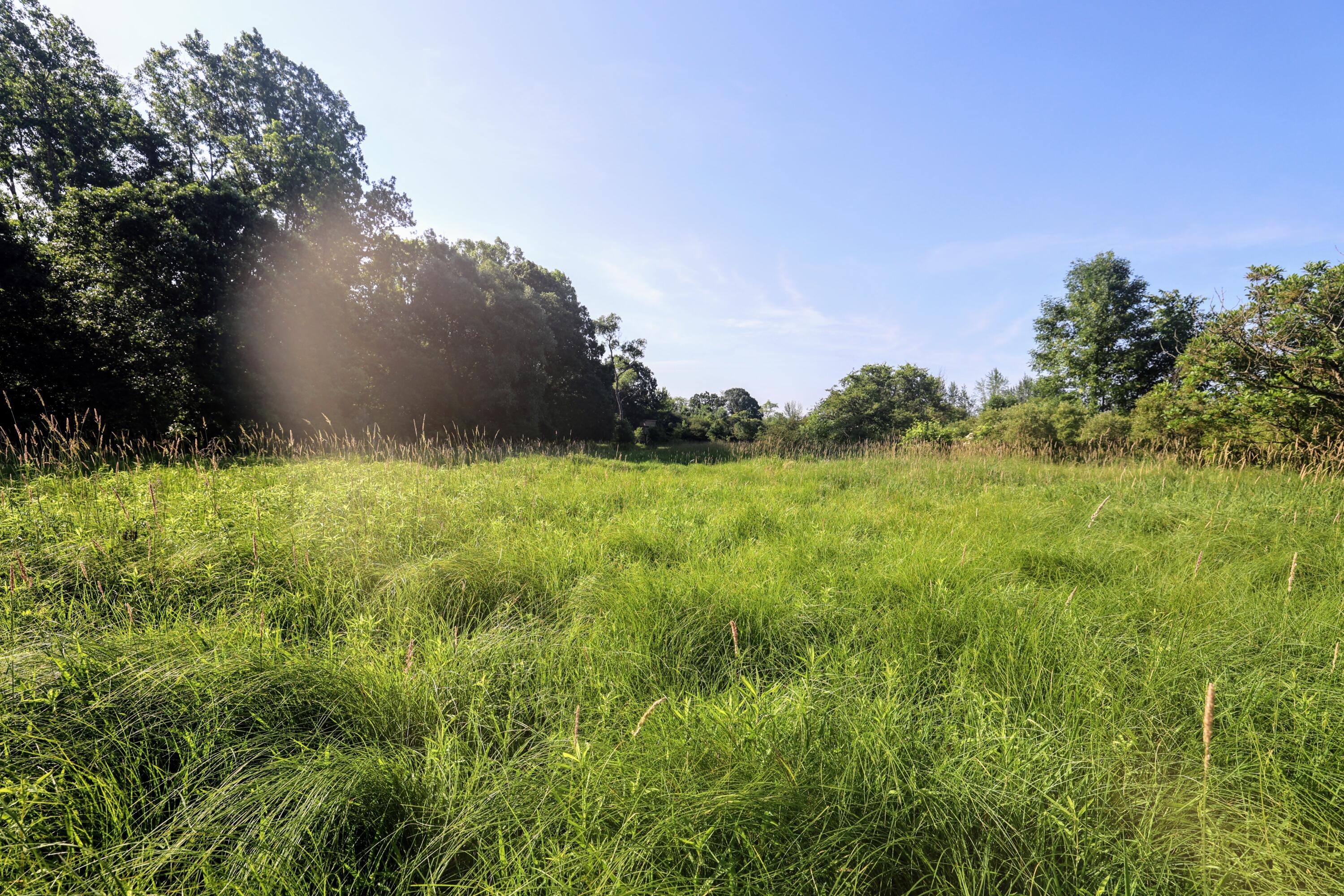 24 24 Mile Road Marshall, MI 49068 - Photo 12 of 62 12