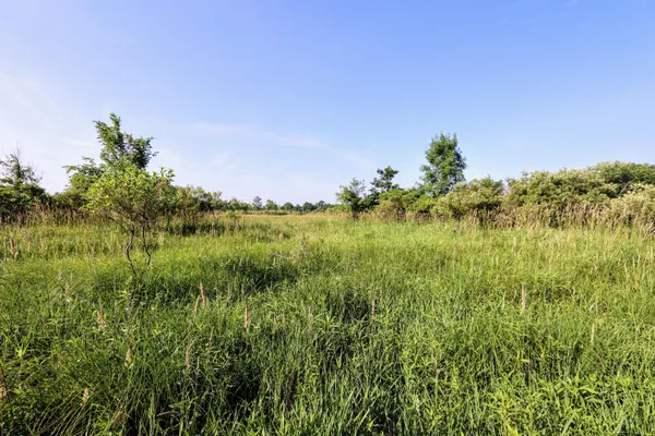 $525,000 | 24 24 Mile Road, Marshall, MI 49068