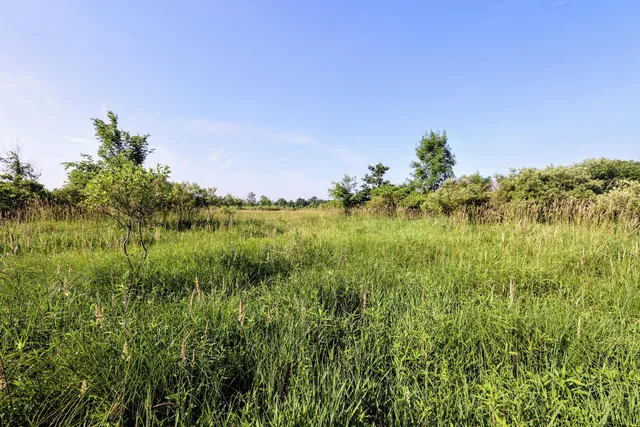 $525,000 | 24 24 Mile Road, Marshall, MI 49068