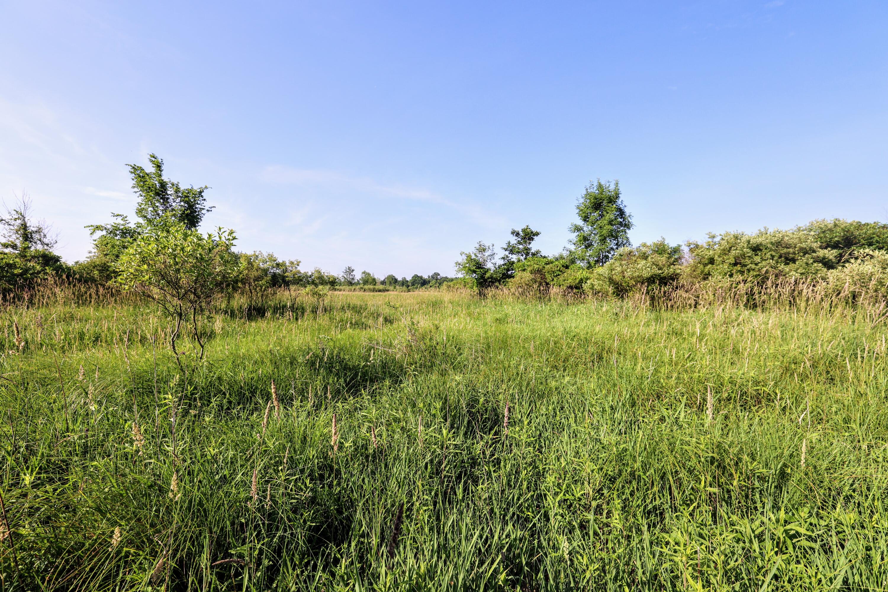 24 24 Mile Road Marshall, MI 49068 - Photo 13 of 62 13