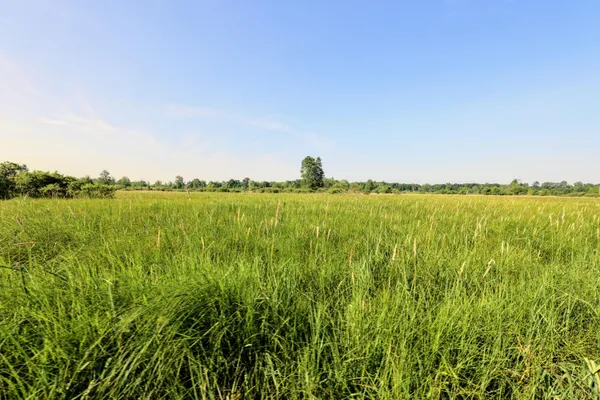 $525,000 | 24 24 Mile Road, Marshall, MI 49068