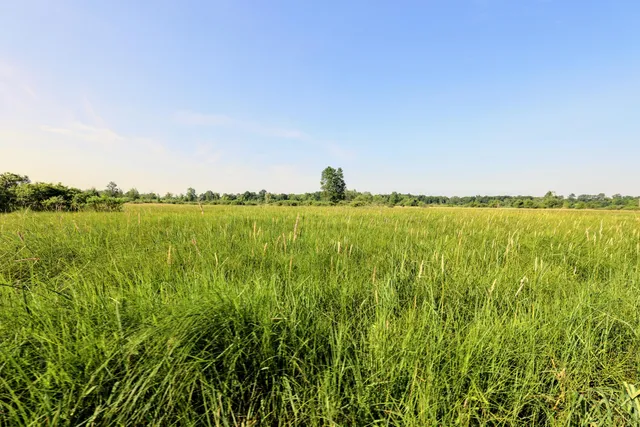 $525,000 | 24 24 Mile Road, Marshall, MI 49068