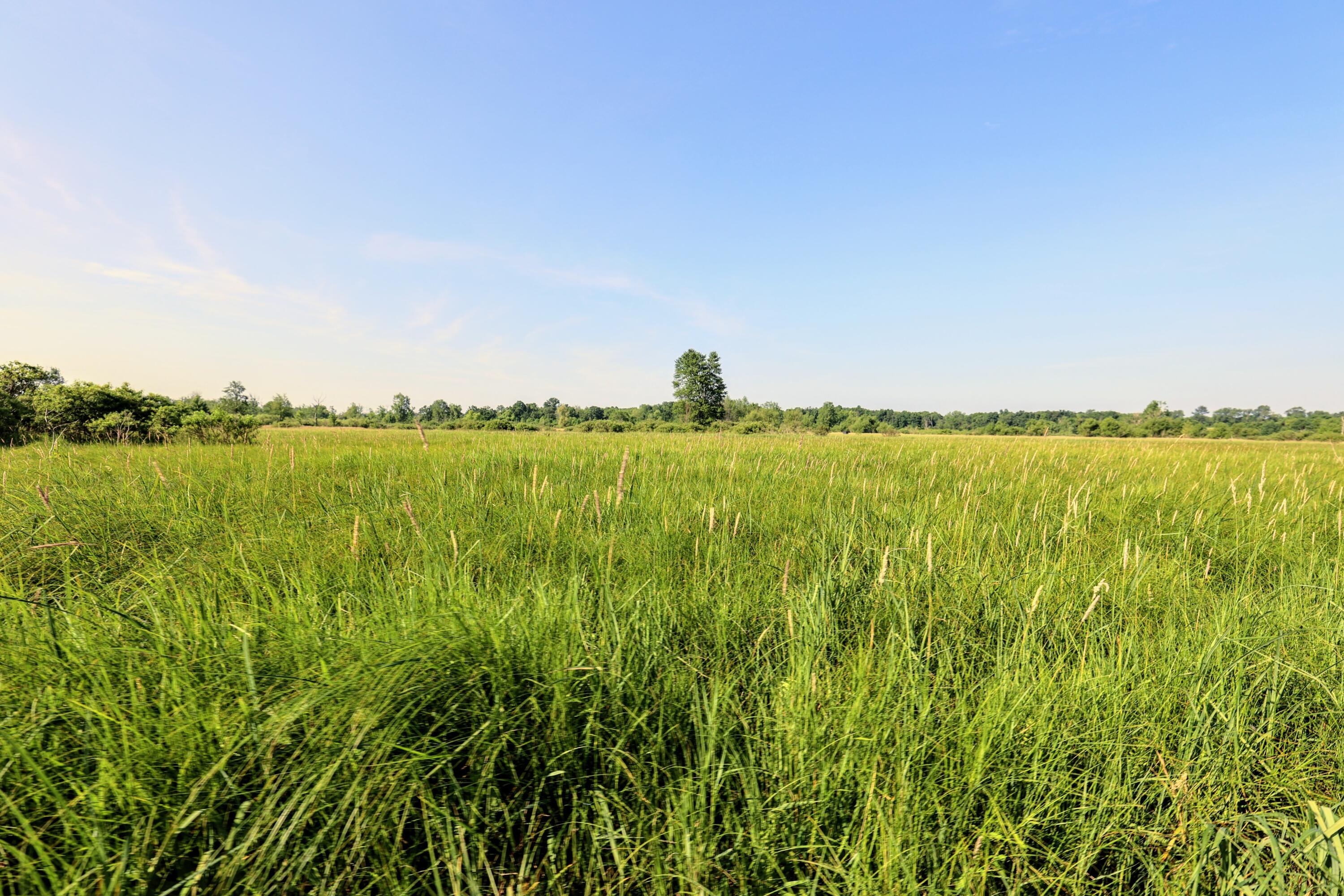 24 24 Mile Road Marshall, MI 49068 - Photo 14 of 62 14