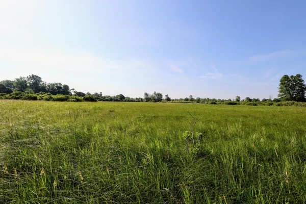 $525,000 | 24 24 Mile Road, Marshall, MI 49068