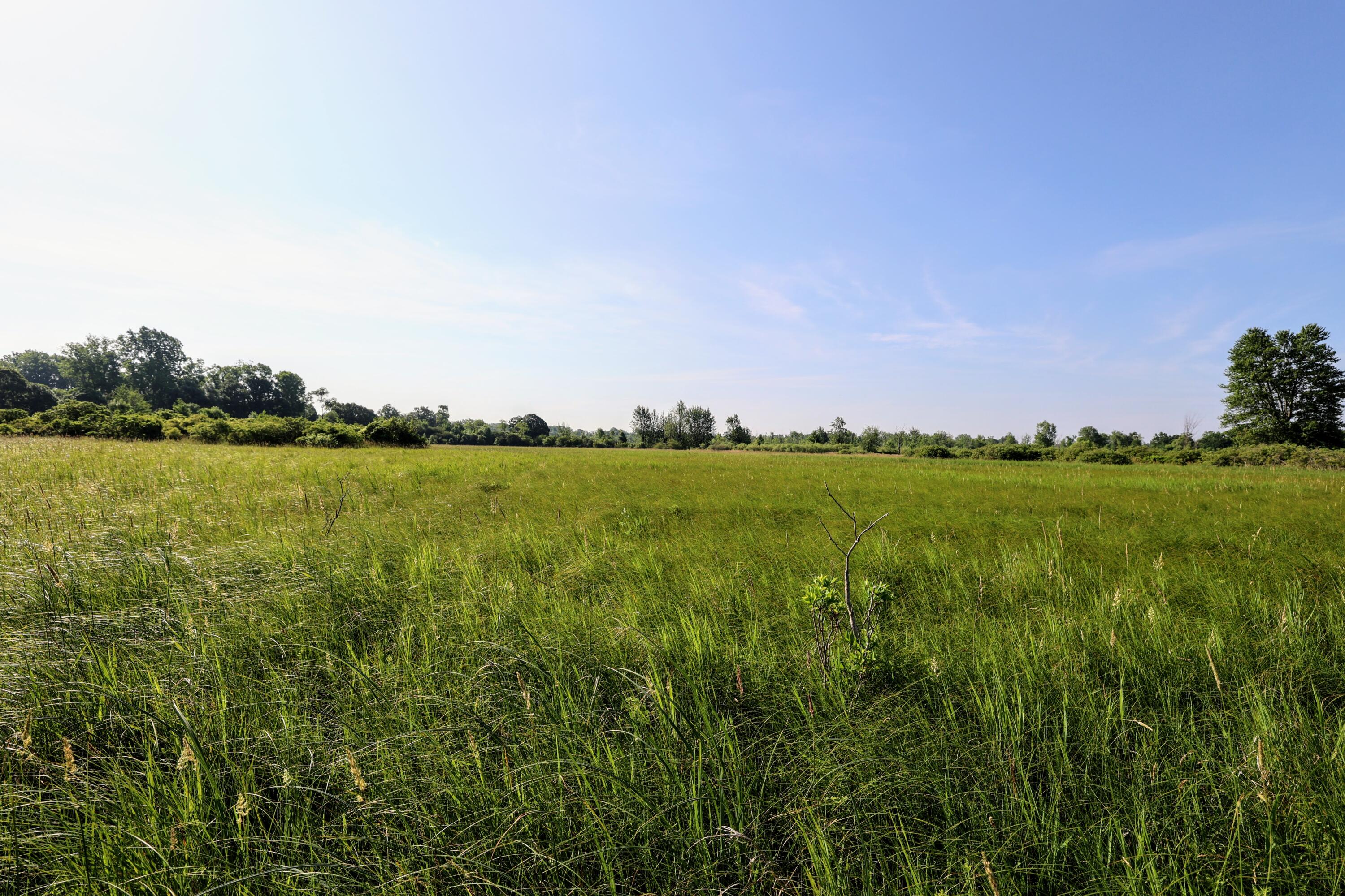 24 24 Mile Road Marshall, MI 49068 - Photo 15 of 62 15