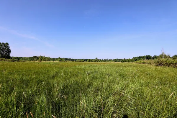 $525,000 | 24 24 Mile Road, Marshall, MI 49068