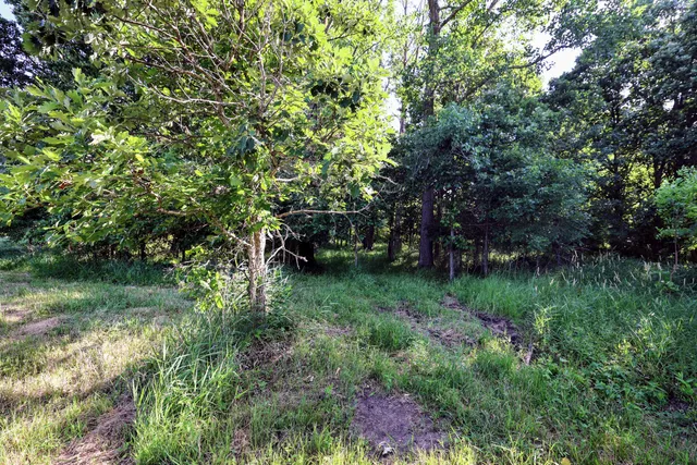 $525,000 | 24 24 Mile Road, Marshall, MI 49068