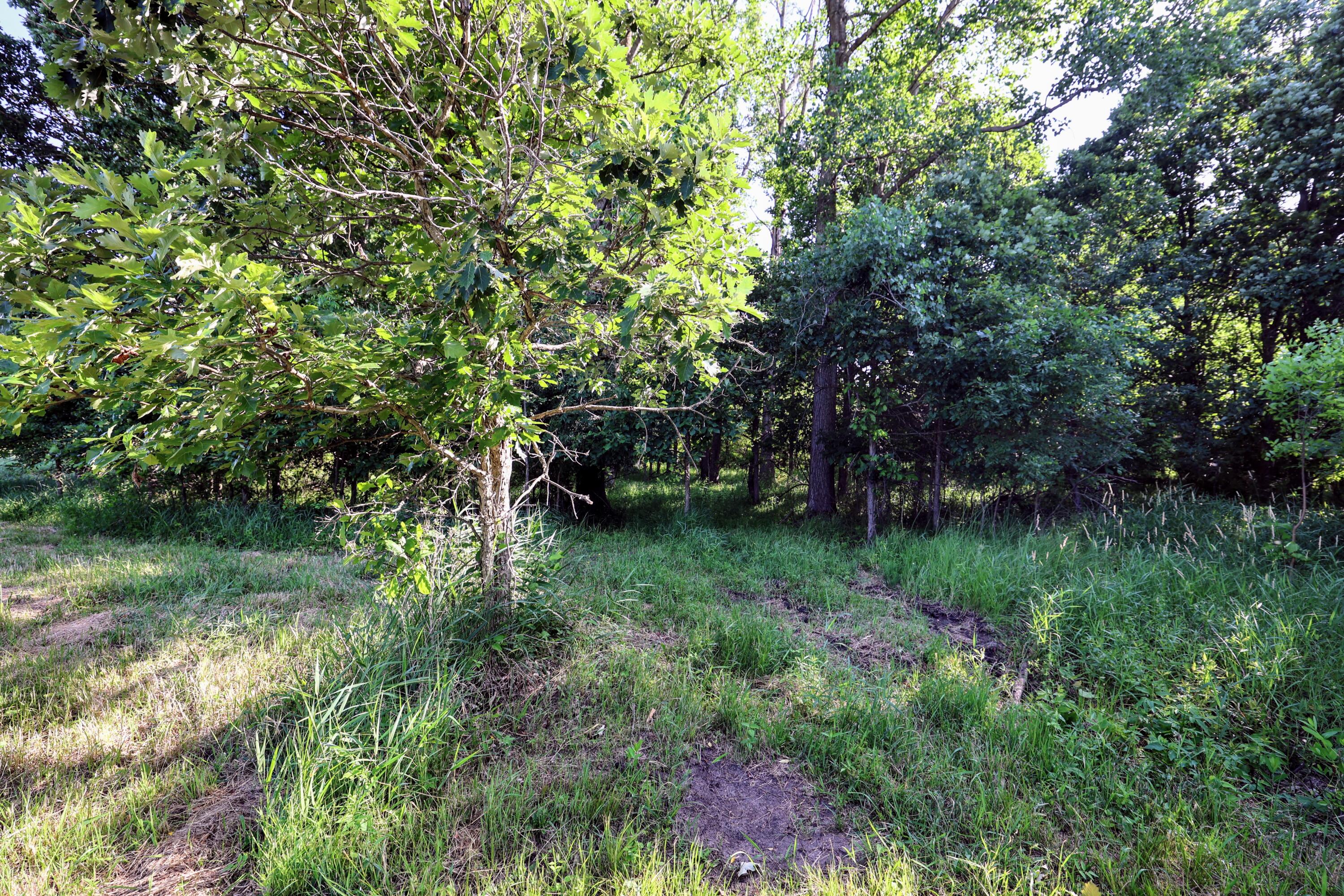 24 24 Mile Road Marshall, MI 49068 - Photo 18 of 62 18