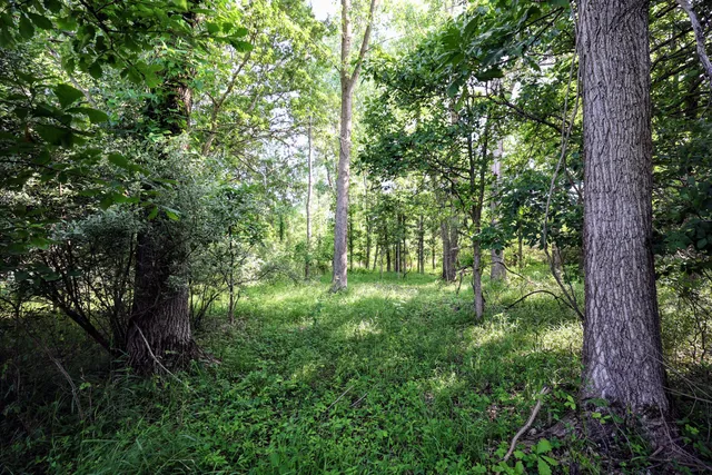 $525,000 | 24 24 Mile Road, Marshall, MI 49068