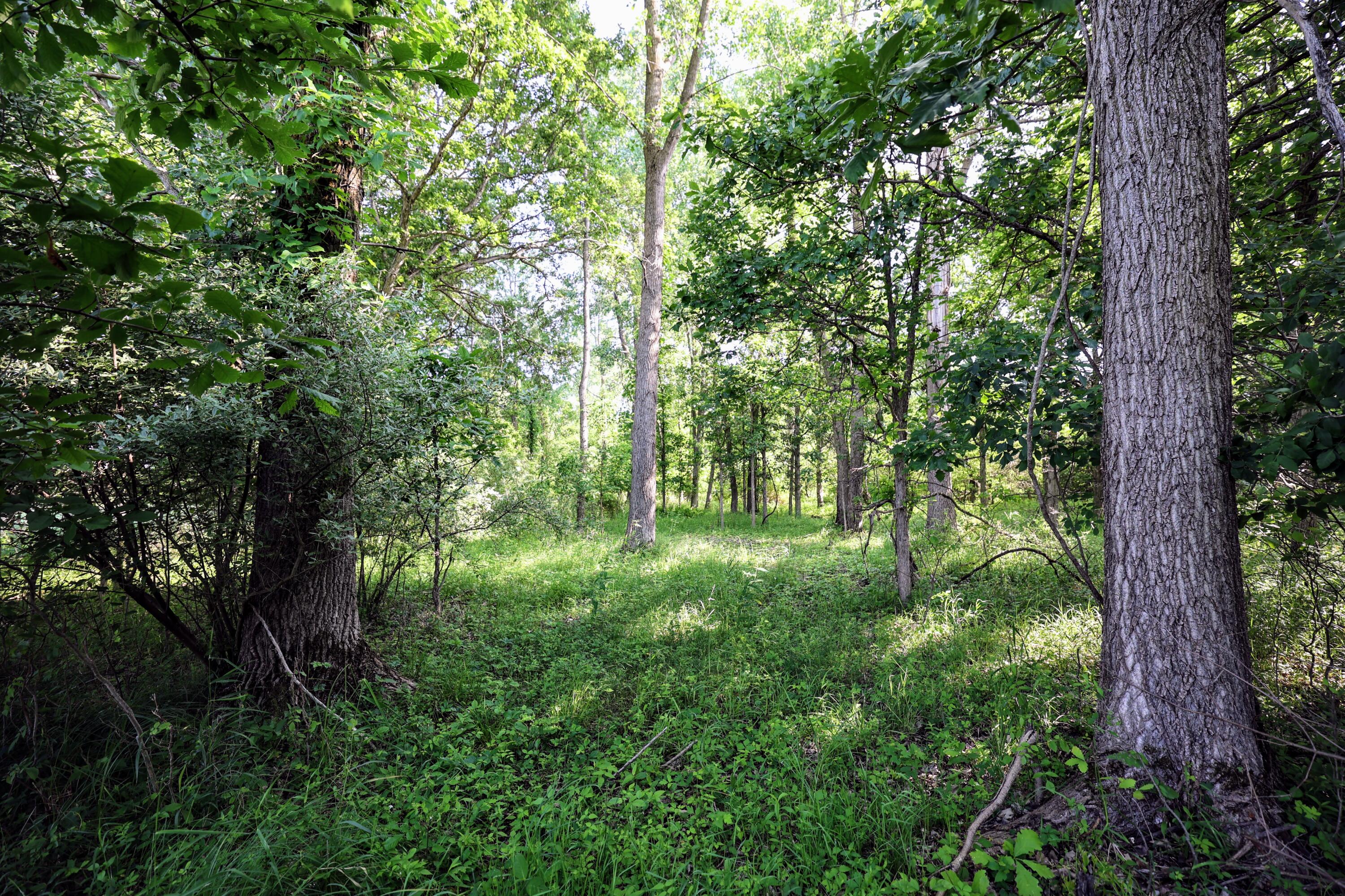 24 24 Mile Road Marshall, MI 49068 - Photo 19 of 62 19