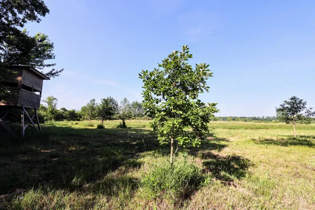 $525,000 | 24 24 Mile Road, Marshall, MI 49068