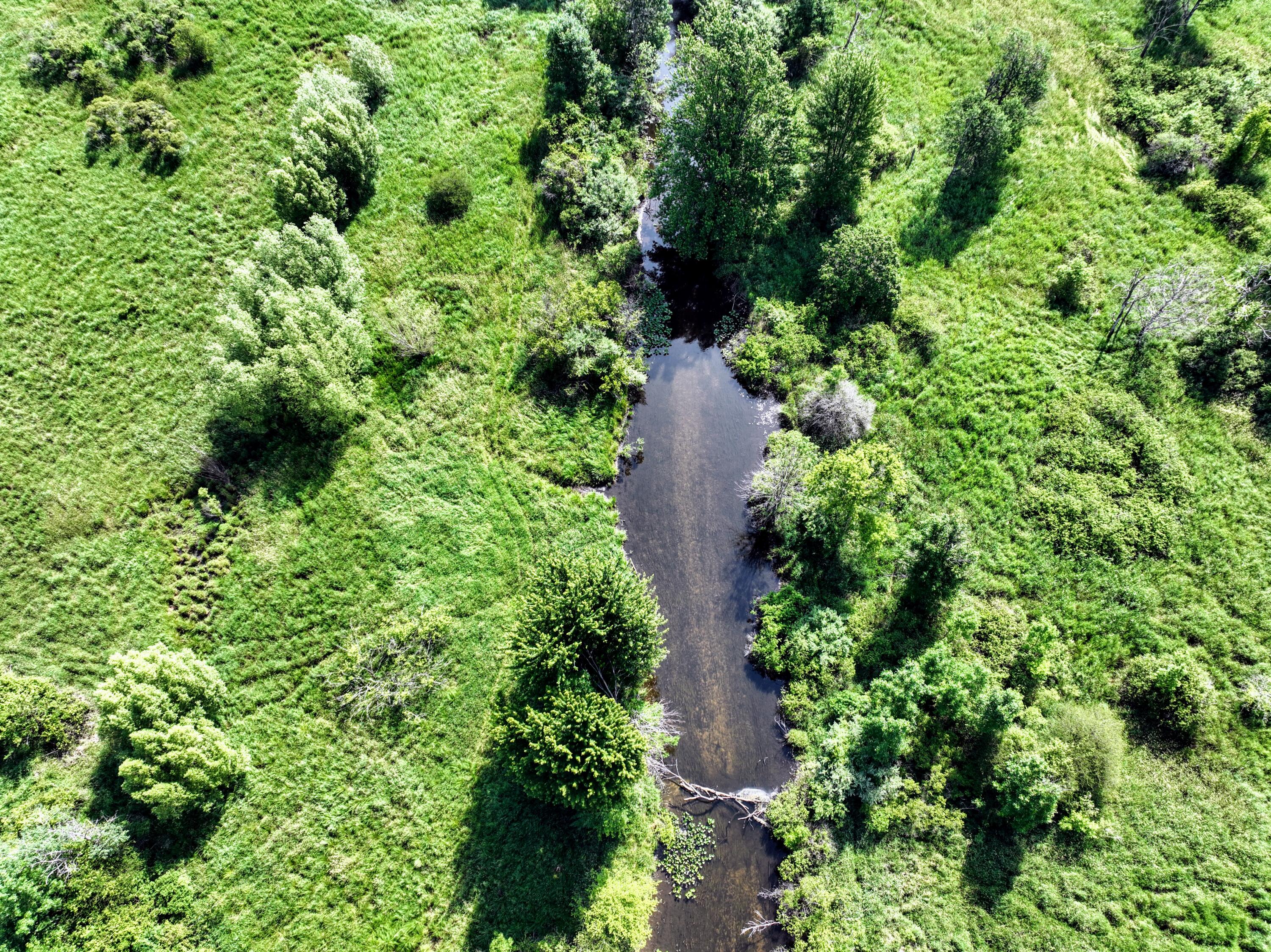 24 24 Mile Road Marshall, MI 49068 - Photo 2 of 62 2