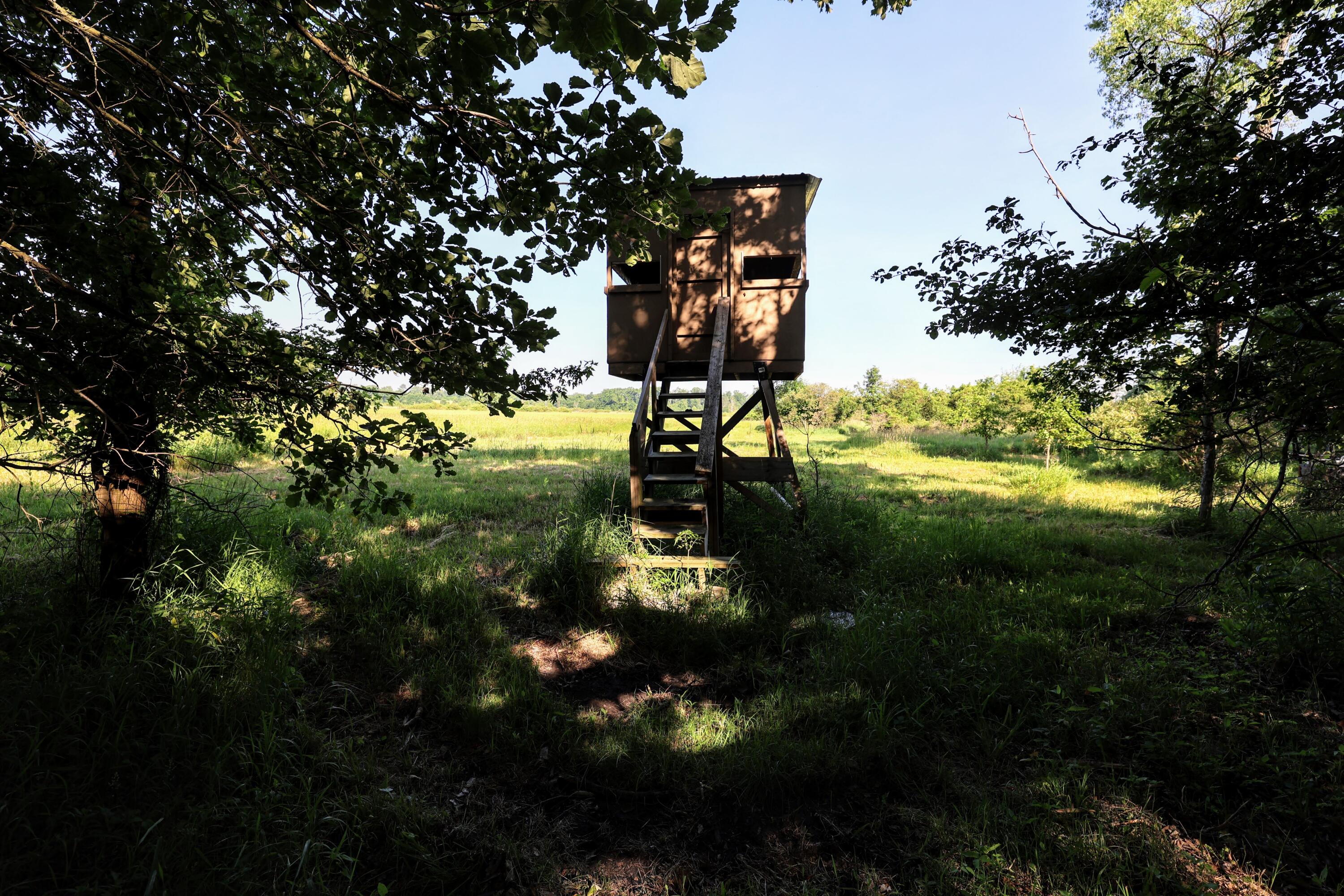 24 24 Mile Road Marshall, MI 49068 - Photo 21 of 62 21
