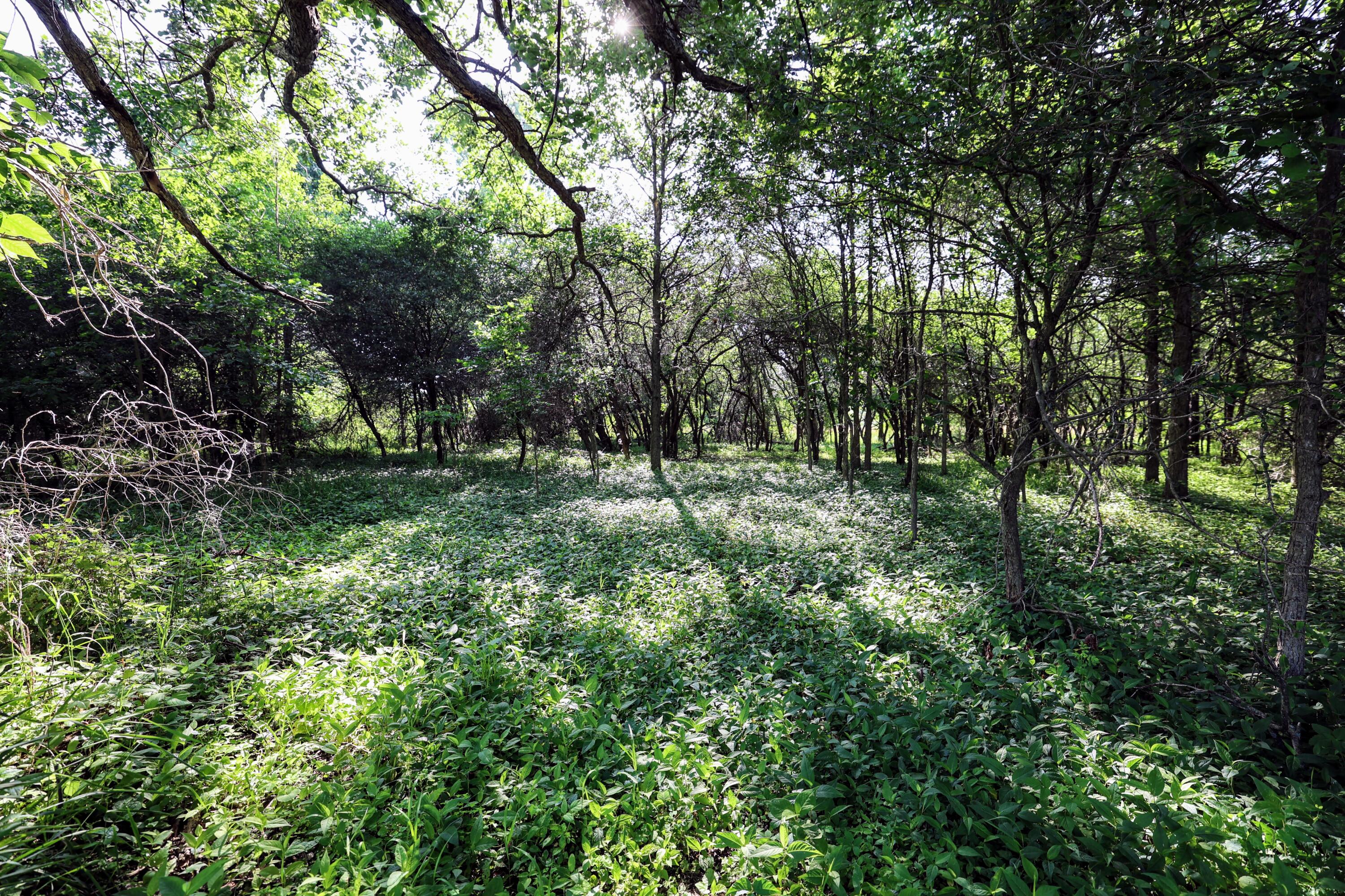 24 24 Mile Road Marshall, MI 49068 - Photo 22 of 62 22