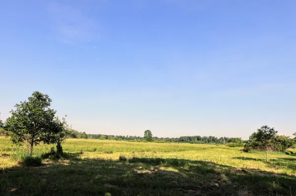 $525,000 | 24 24 Mile Road, Marshall, MI 49068