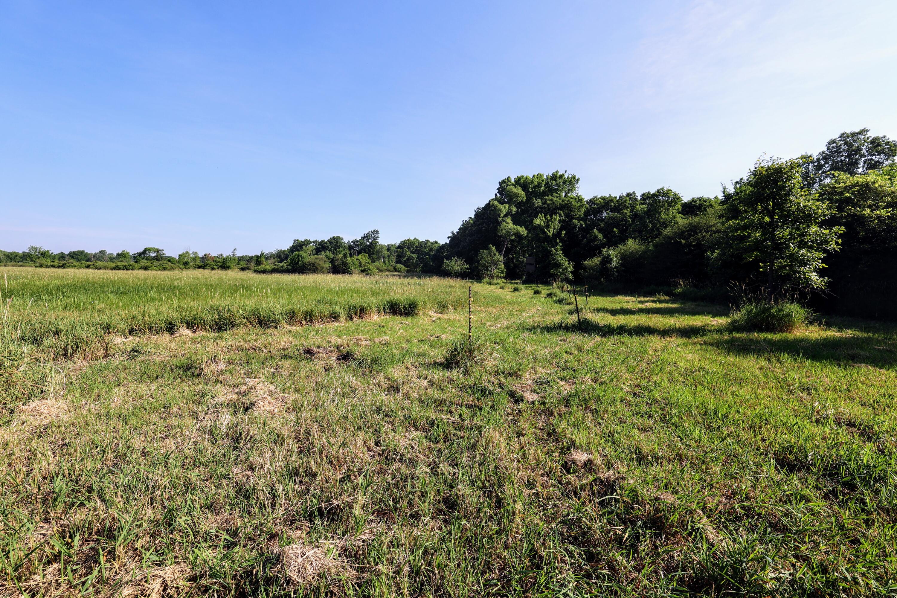 24 24 Mile Road Marshall, MI 49068 - Photo 24 of 62 24