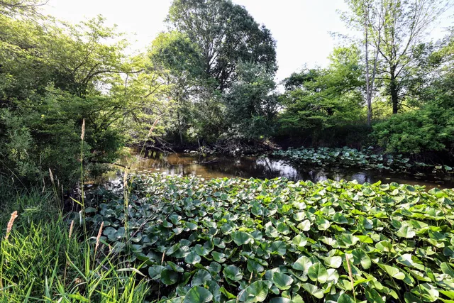 $525,000 | 24 24 Mile Road, Marshall, MI 49068