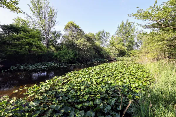 $525,000 | 24 24 Mile Road, Marshall, MI 49068