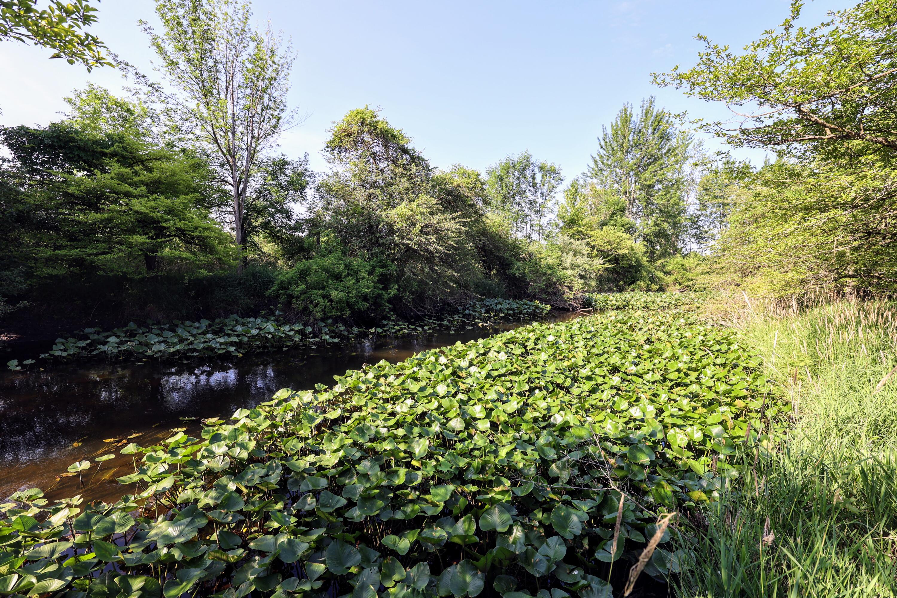 24 24 Mile Road Marshall, MI 49068 - Photo 26 of 62 26
