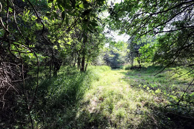 $525,000 | 24 24 Mile Road, Marshall, MI 49068