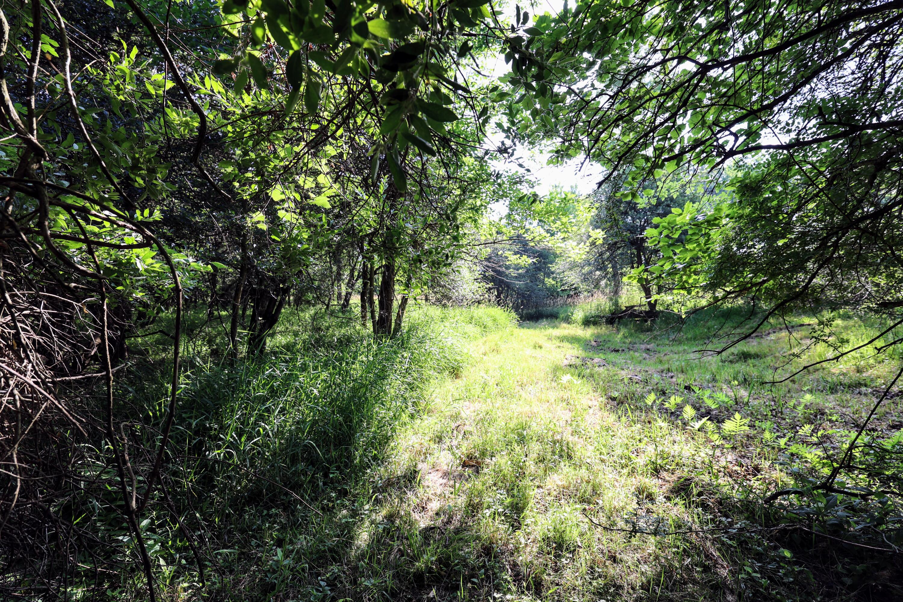 24 24 Mile Road Marshall, MI 49068 - Photo 27 of 62 27