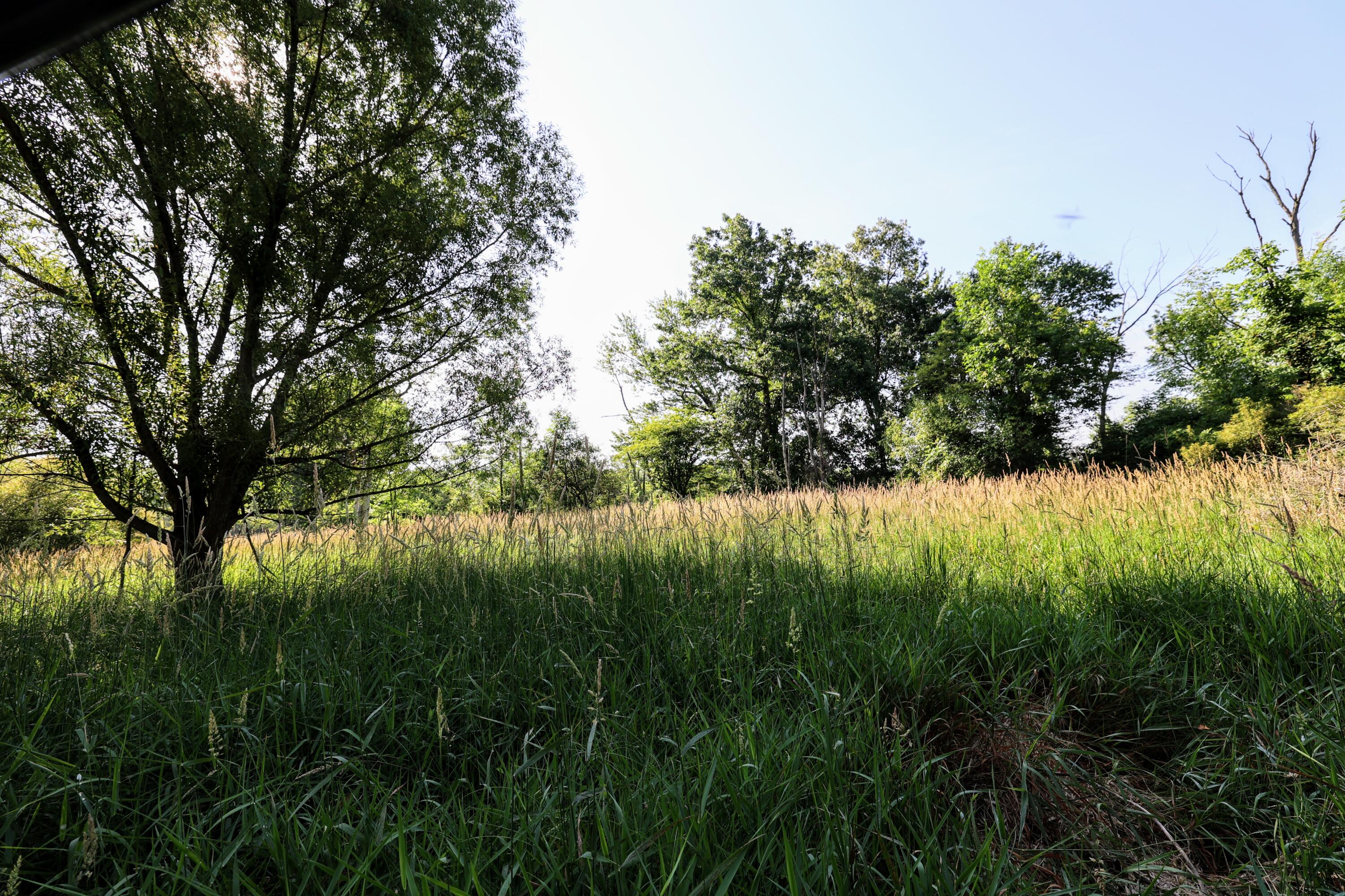 24 24 Mile Road Marshall, MI 49068 - Photo 29 of 62 29