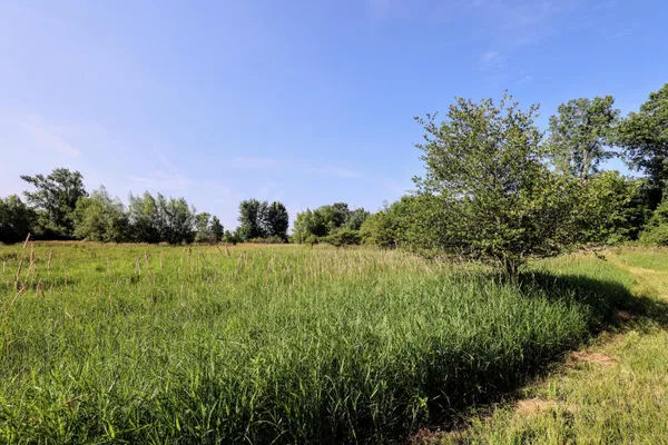 $525,000 | 24 24 Mile Road, Marshall, MI 49068